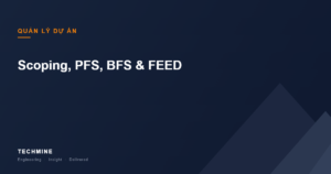 Scoping, PFS, BFS & FEED